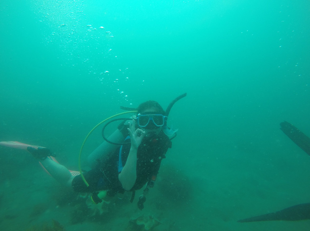 South Shore Divers-达沃必去景点