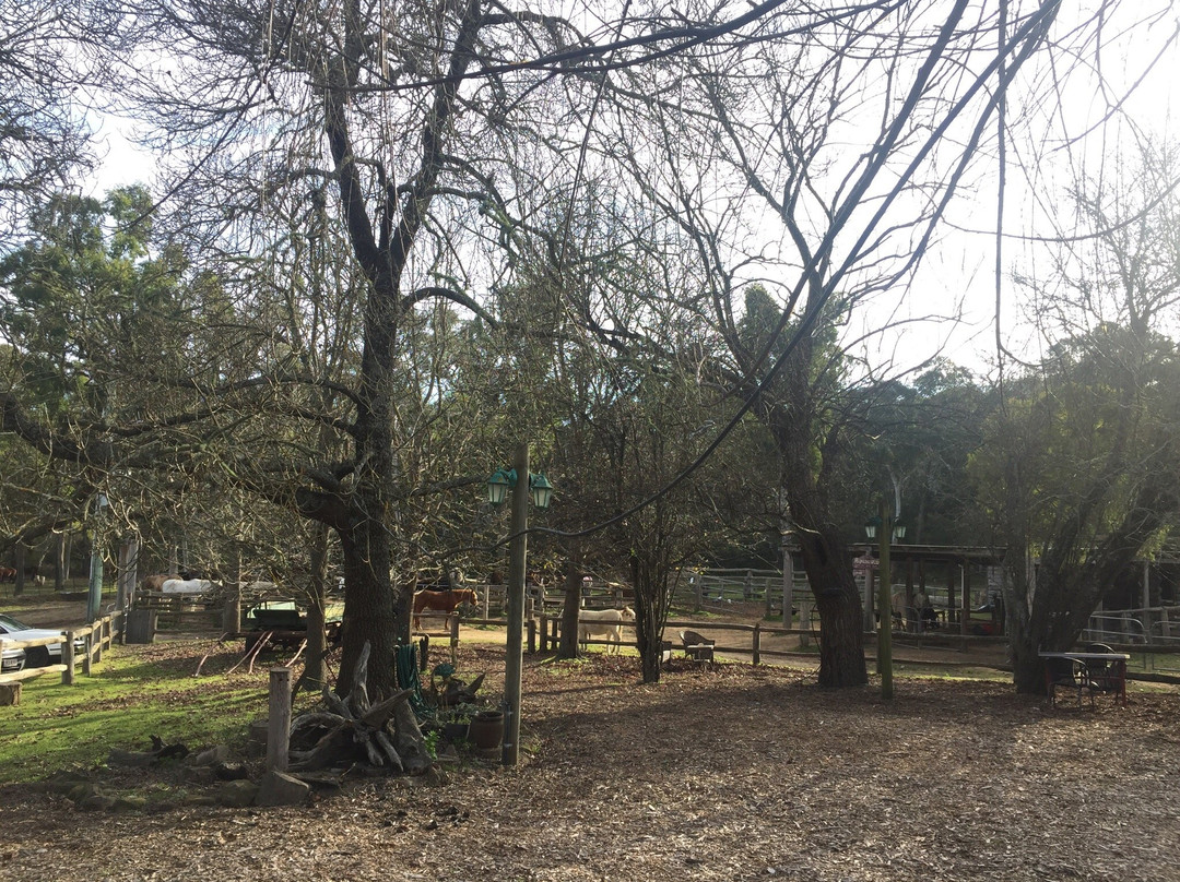 Megalong Valley Farm-Megalong Valley必去景点