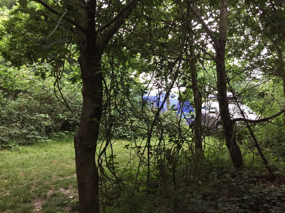 Chiltern Retreat Rural Camping
