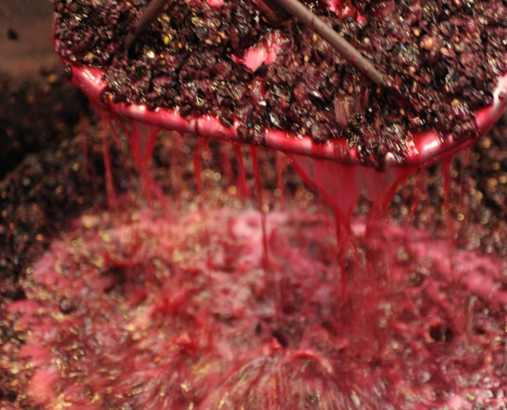 Karatta Wine Room & Gallery-罗布必去景点