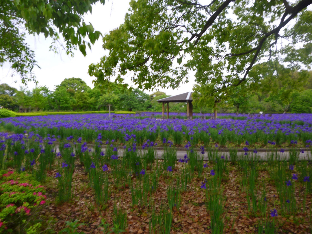 Hayamizu Park-都城市必去景点