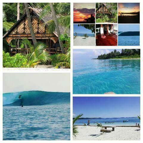 Survival Mentawai Surfcamp