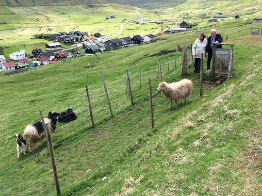 Tora Tourist-托沙文必去景点