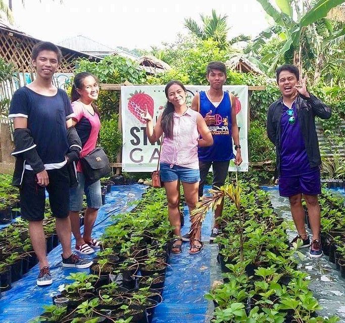 Libtong Strawberry Garden-Naval必去景点
