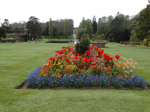 Bicton旅游攻略图片