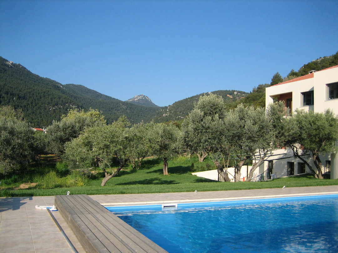 Iris Artist Residency