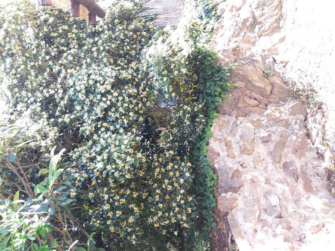 Agriturismo Colleverde Capalbio