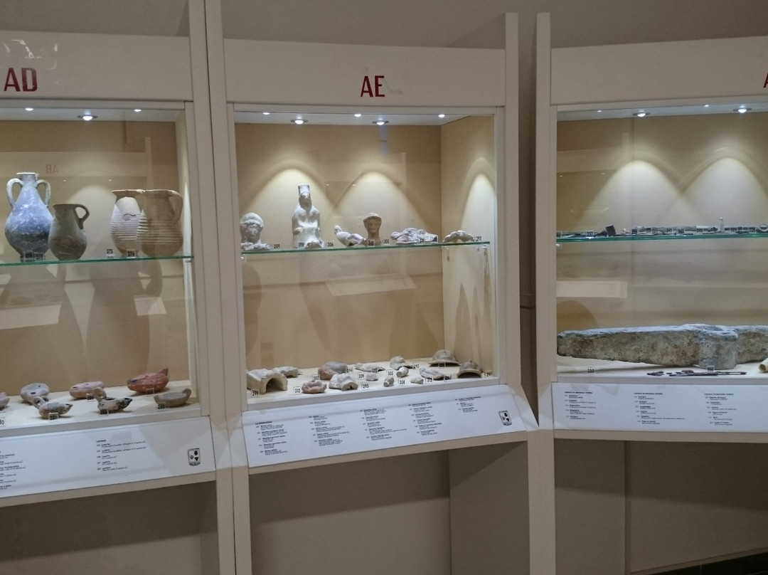 Palazzina del Belvedere - Collezione Archeologica Faldetta-布林迪西必去景点