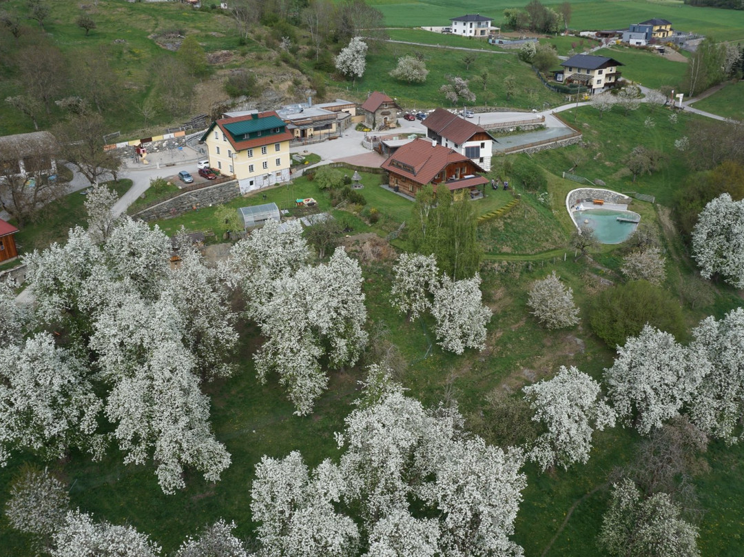 Weitensfeld im Gurktal餐馆和美食-Esskulturwirt die Zechnerin