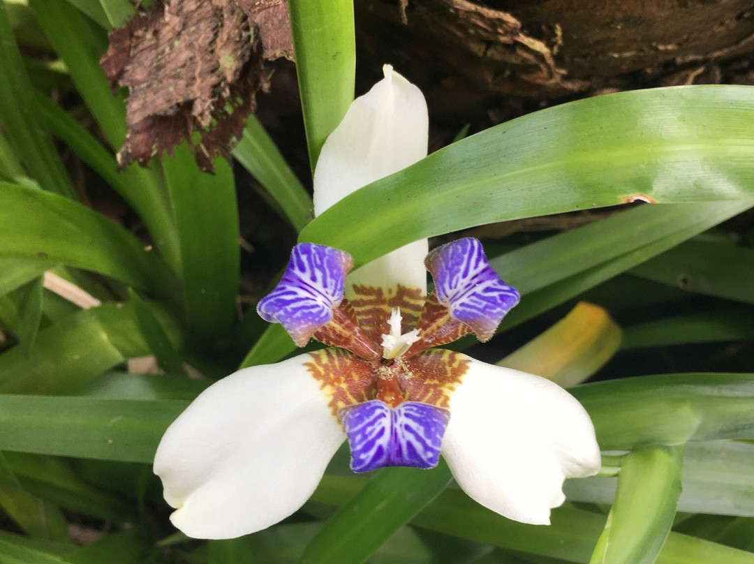 Jardin Exótico Kamala-佩雷拉必去景点