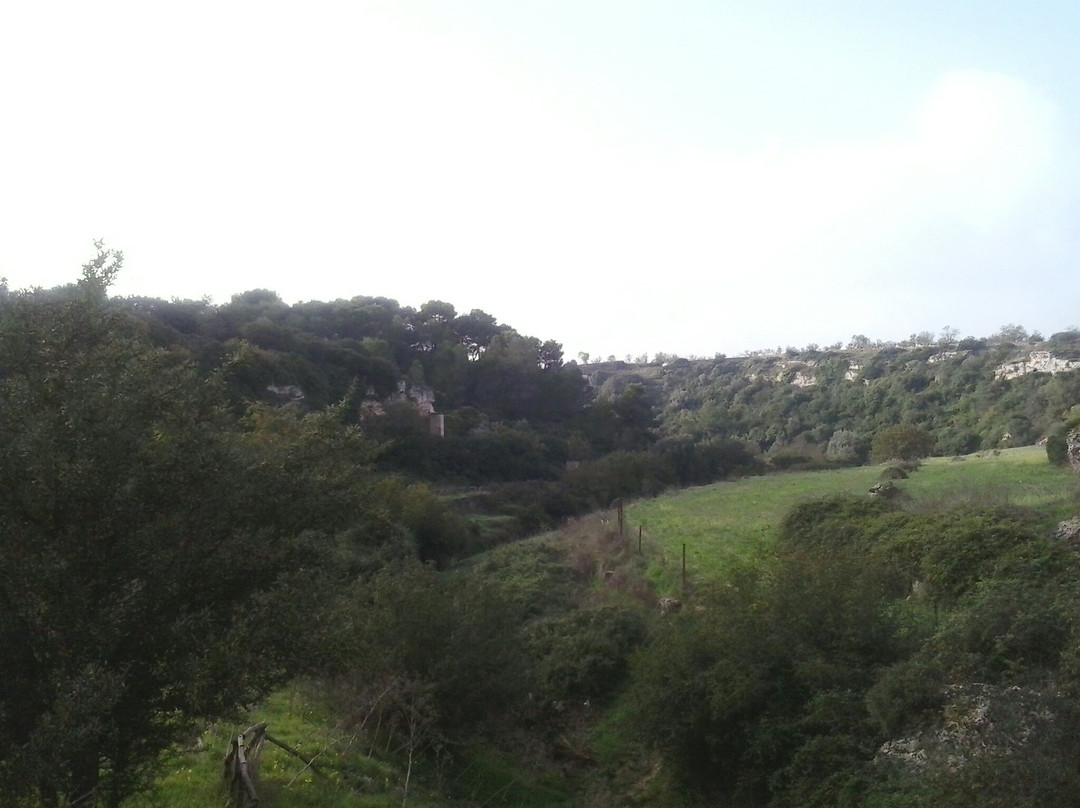 Crispiano旅游景点-Villaggio Rupestre di Triglie