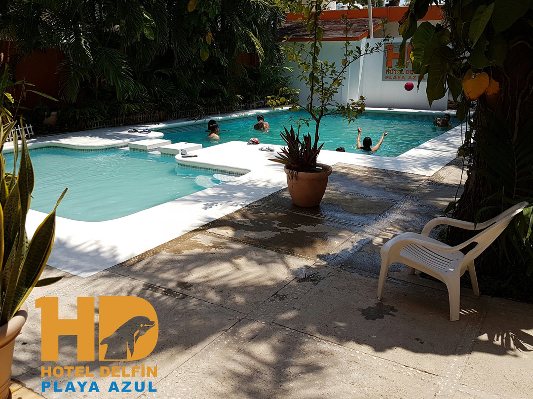 Delfin Playa Azul主图
