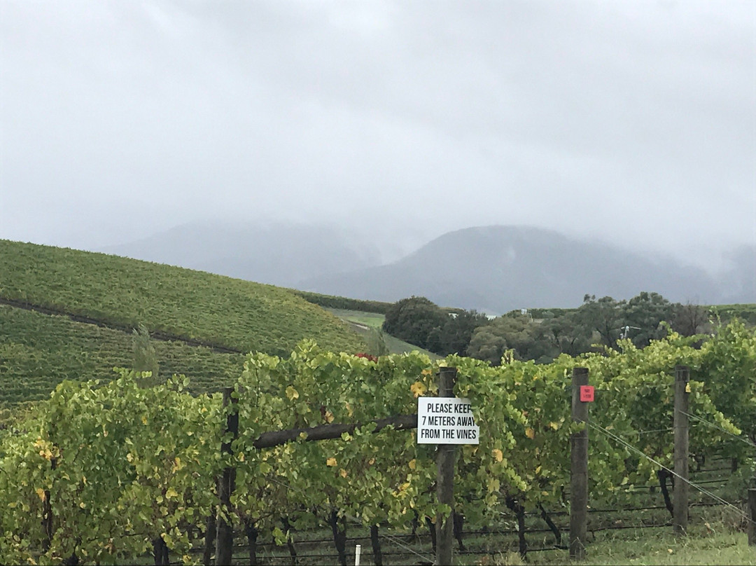 Hanrahan Vineyard-Gruyere必去景点