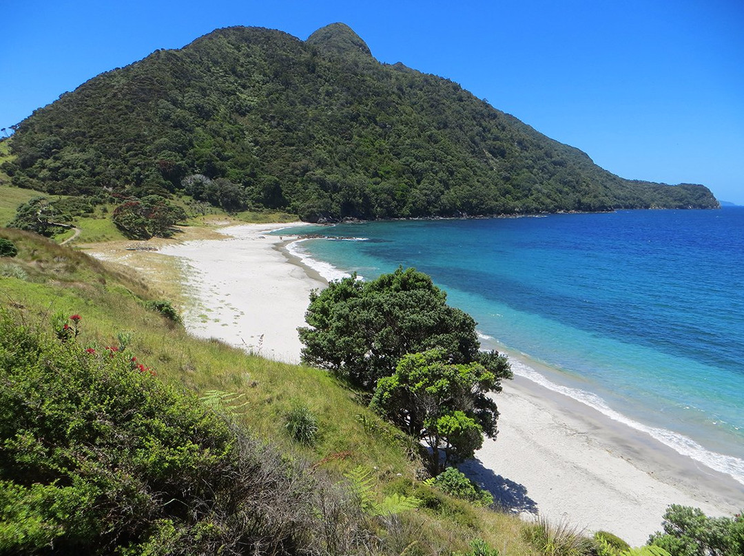 Whangarei Heads旅游攻略图片