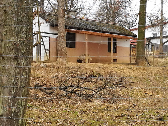 Wildpark Ernstbrunn-Ernstbrunn必去景点