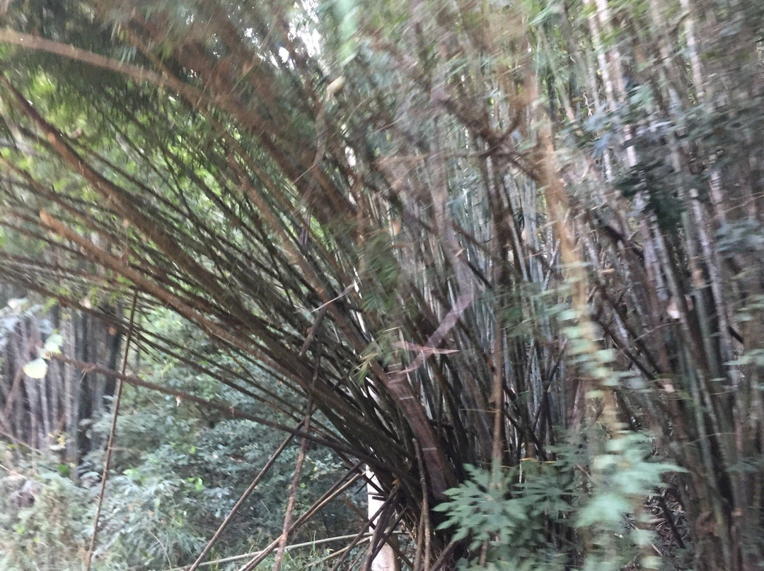 Nam Kat Waterfall景点图片