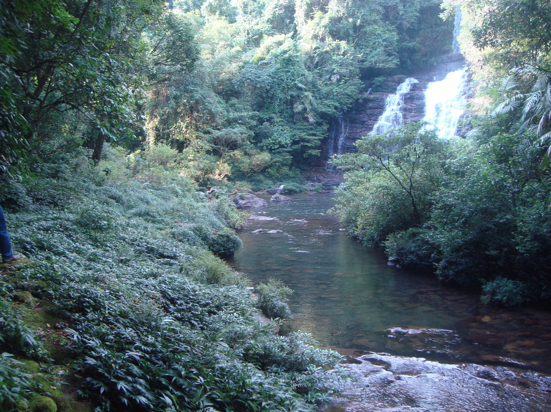 Mawlynnong Waterfall景点图片