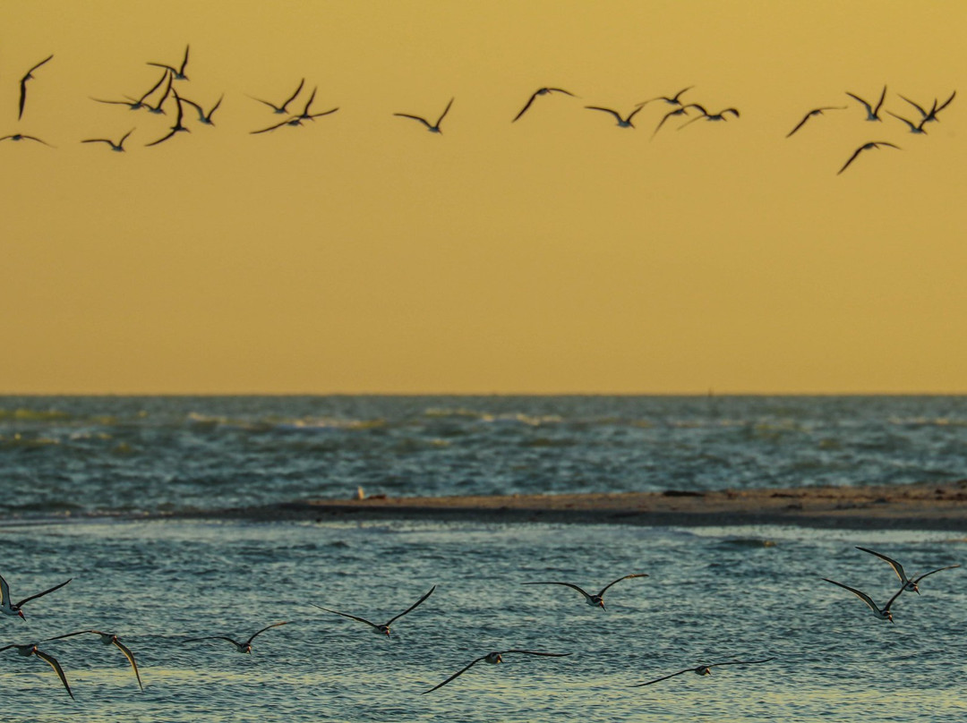Beach Road Watersports-恩格尔伍德必去景点
