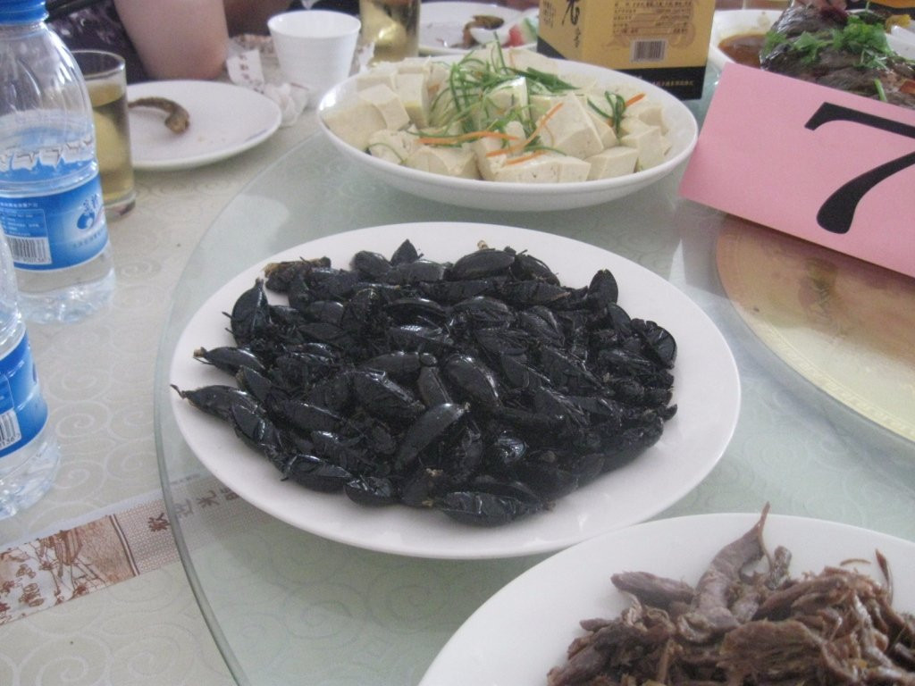 鹤鸣湖湿地温泉风景区-大庆市必去景点