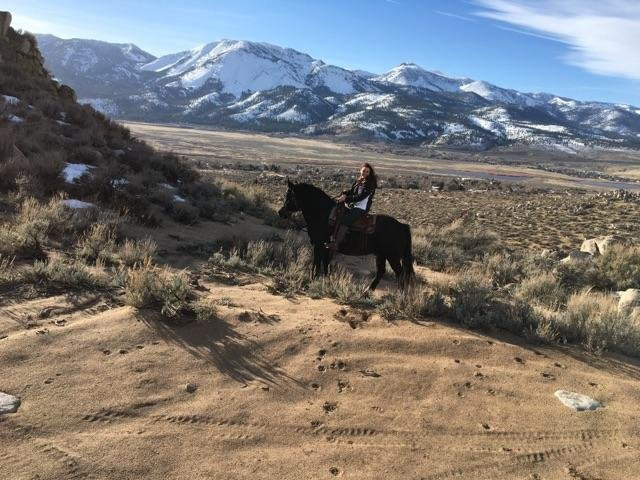 Heavenly Hoofprints-New Washoe City必去景点