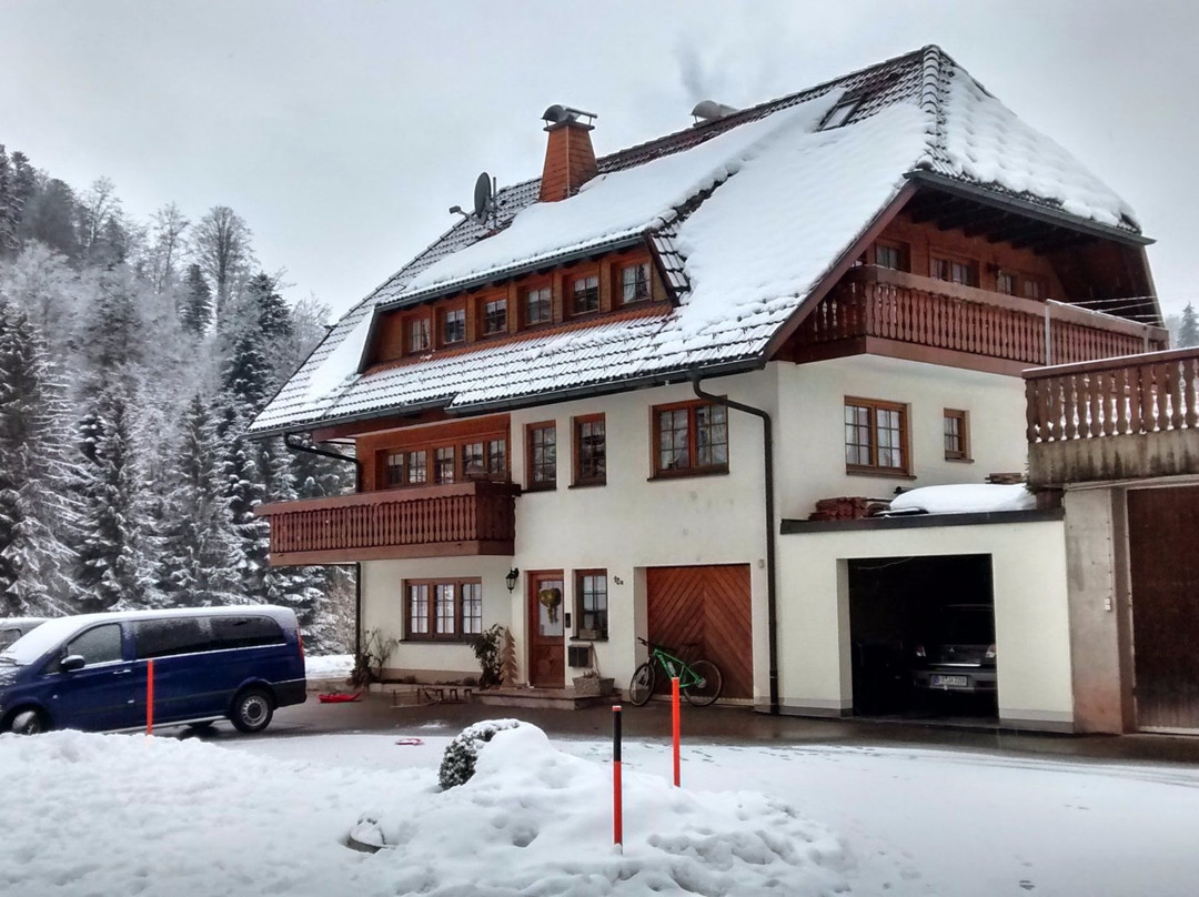 Schreinerhausle主图