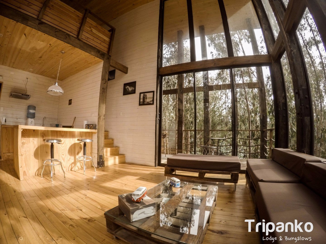 奇帕柯山林小屋和简易别墅