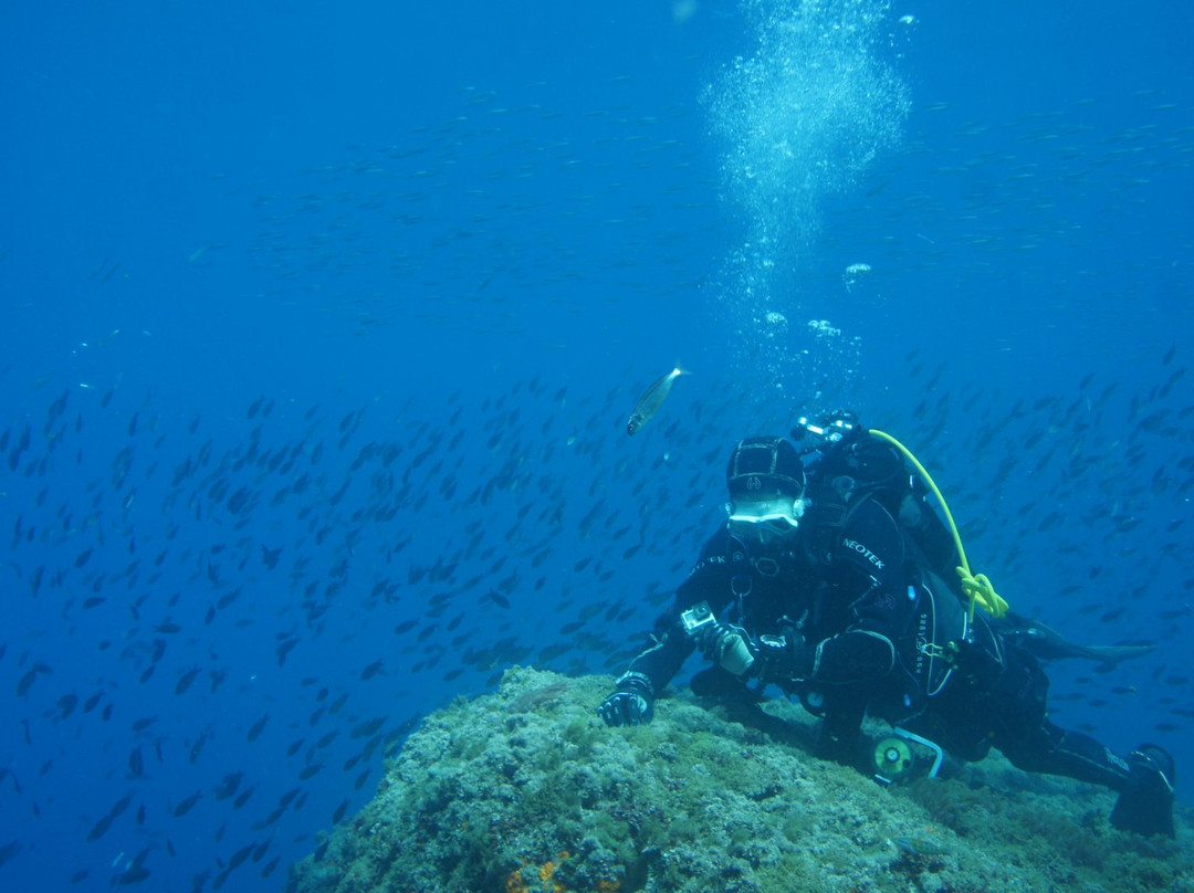 La Maison du Plongeur-Tenes必去景点