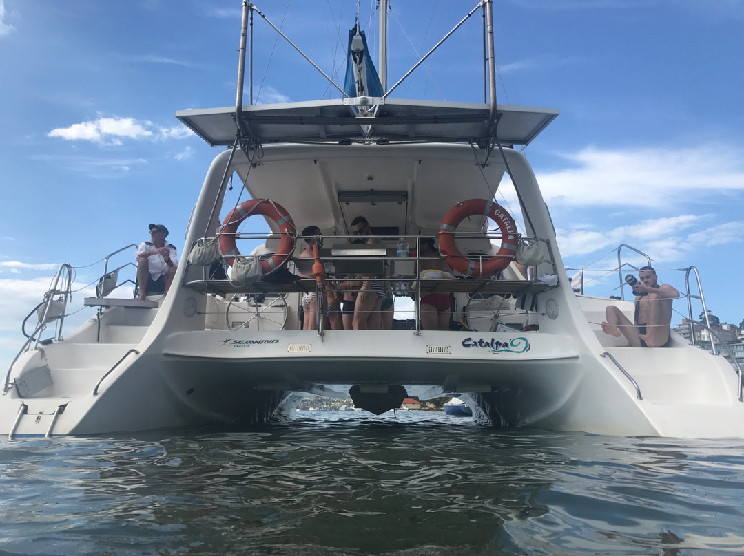 Sydney Catamaran Cruises景点图片