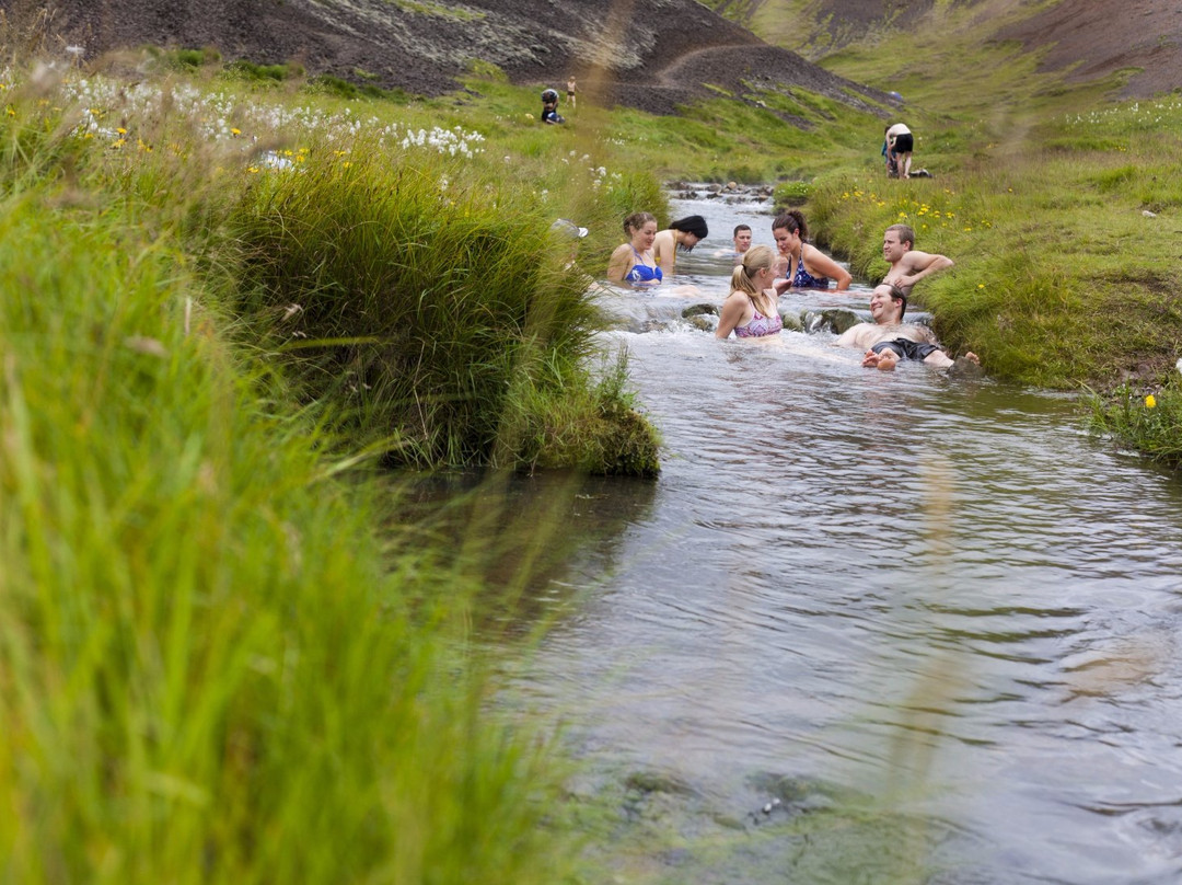 Tophorses-莫斯费德斯拜尔必去景点