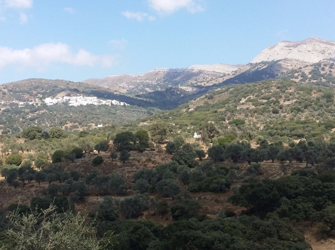 Olive Groves & Byzantine Park Trail of Tragea景点图片