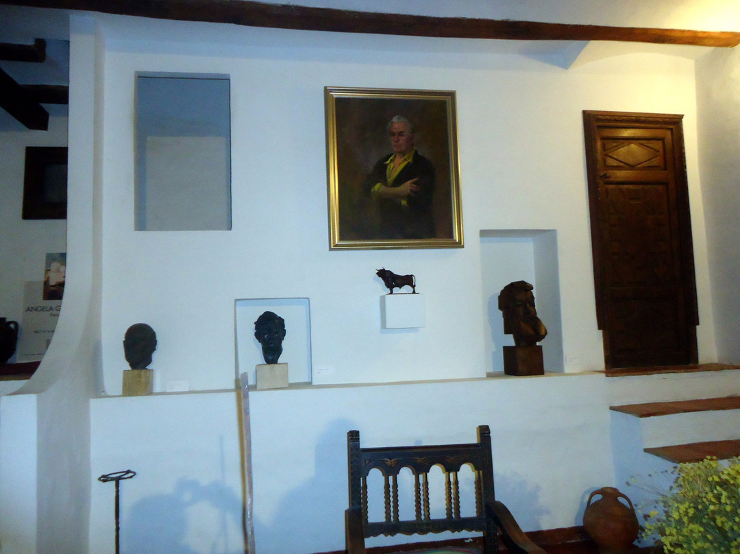 Museo Gonzalvo景点图片