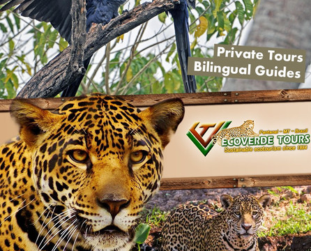 Ecoverde Tours-Cuiaba必去景点