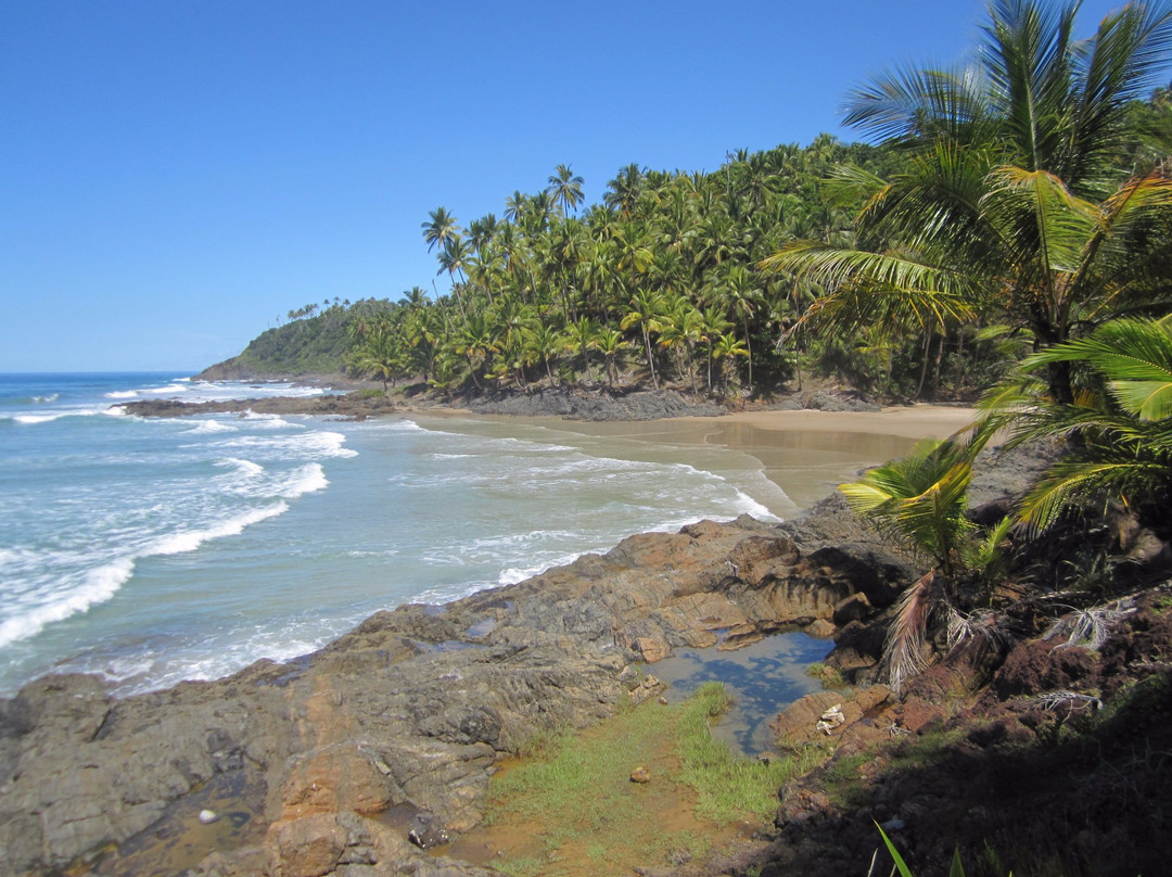 Bicho-preguiça Ecoturismo-Itacare必去景点