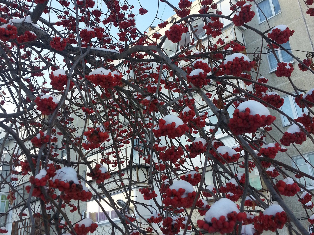 Church of Royal Passion Bearers-Turgoyak必去景点