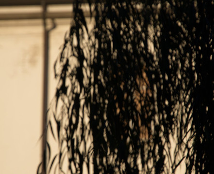 Centro Artistico Alik Cavaliere-米兰必去景点