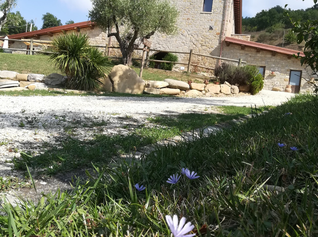 Azienda Agrituristica Masseria Lamione