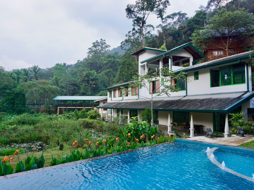 Sinharaja Forest Edge主图