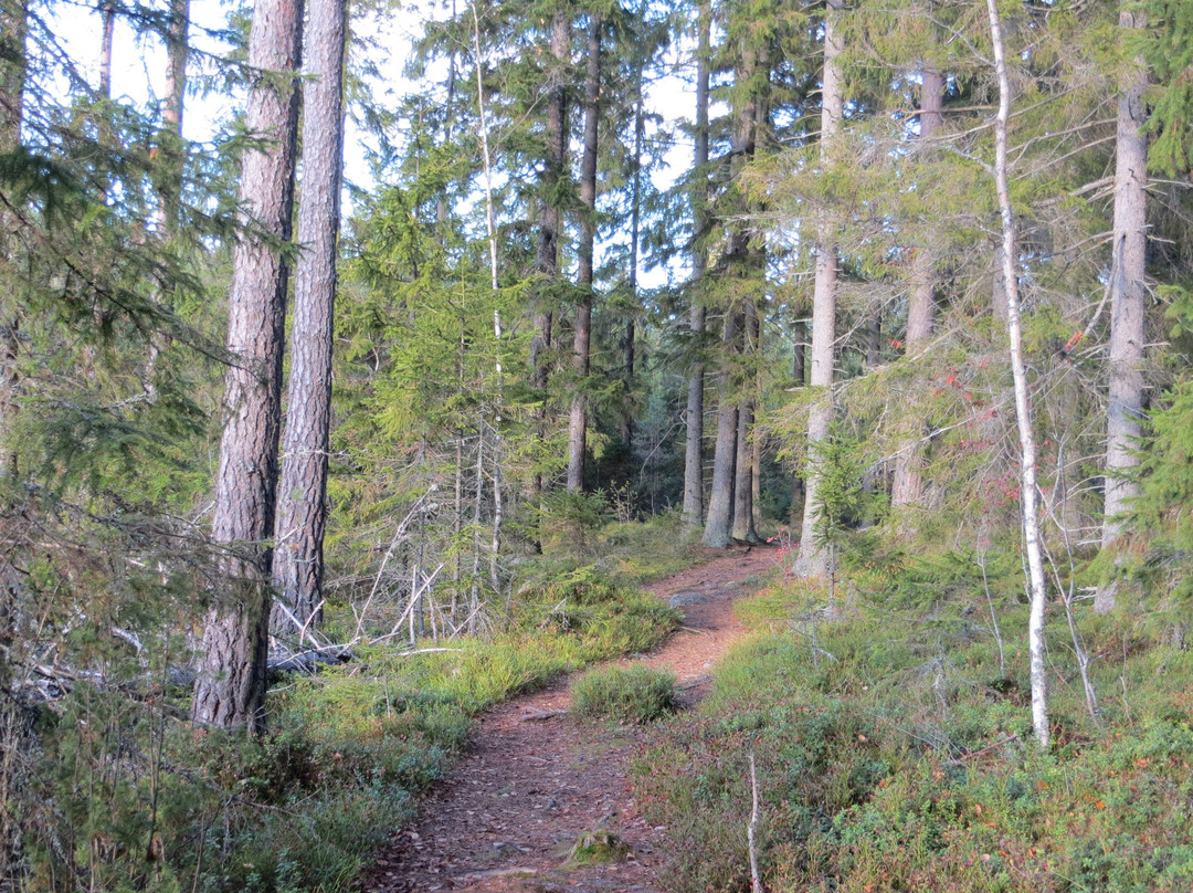Kurjenrahka National Park-Poytya必去景点