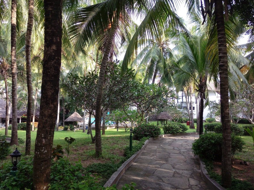 乌龟湾泳滩俱乐部主图