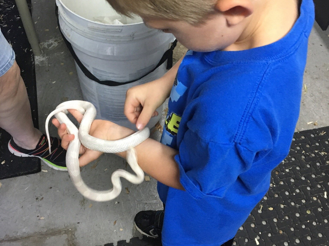 Snake World-Berryville必去景点