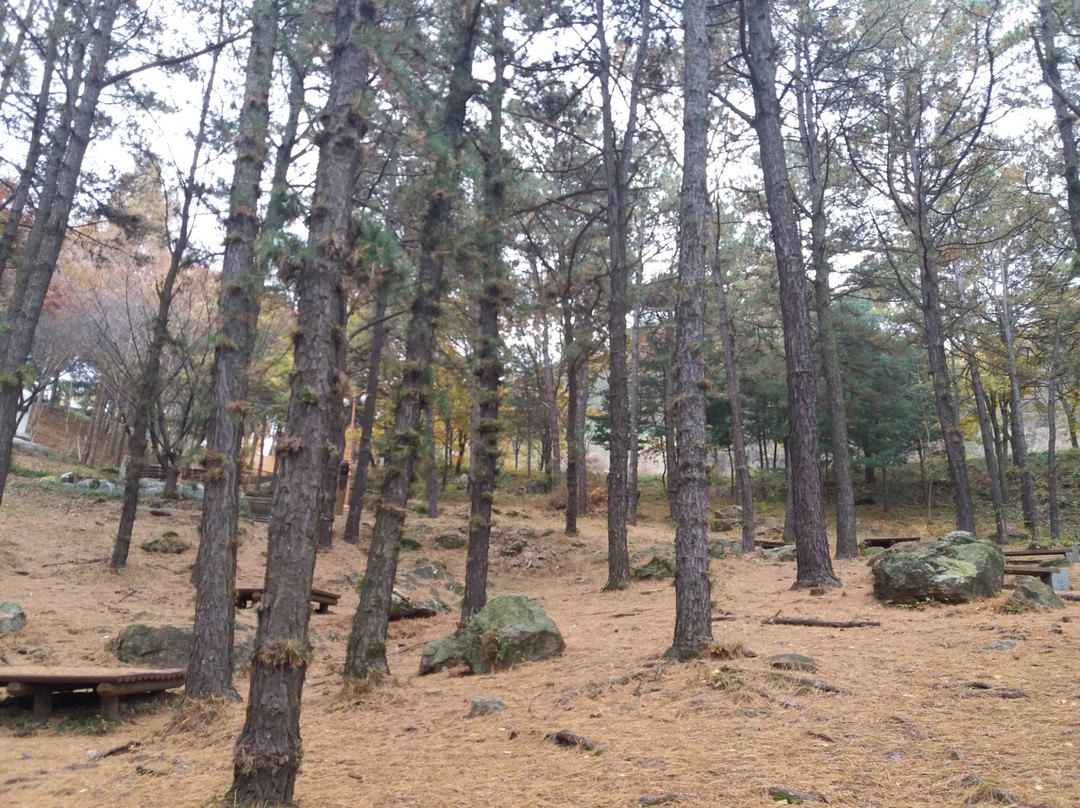 Ppuri Park-大田必去景点