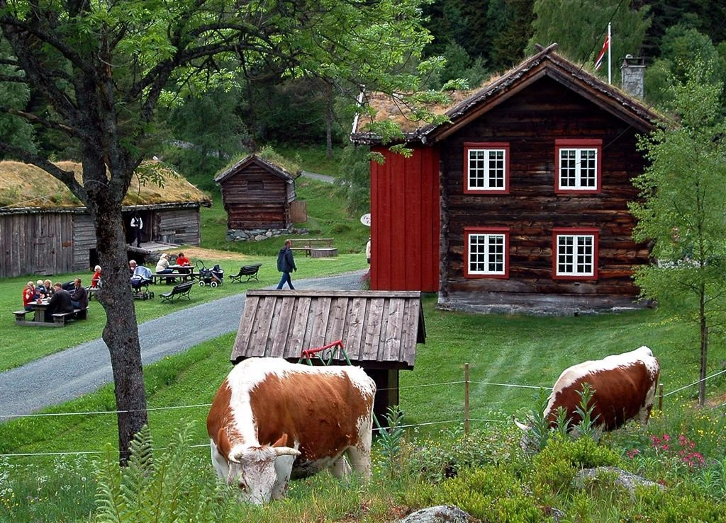 Vest-telemark Museum Eidsborg-Hoydalsmo必去景点