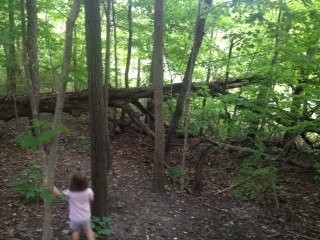 Friends of the Viking Ship-Geneva必去景点