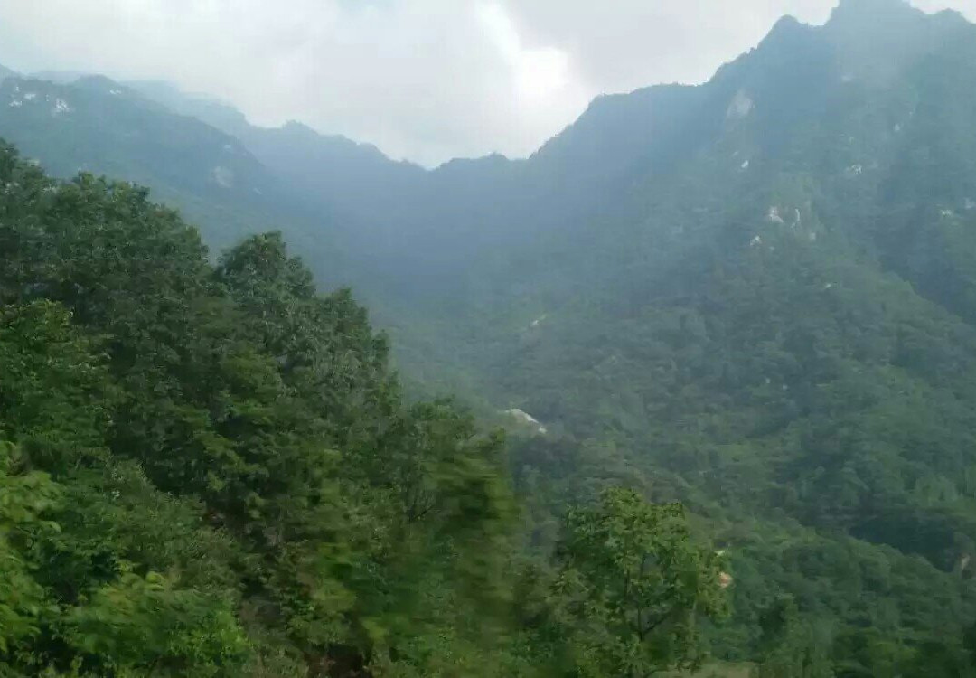 宝天曼保护区-内乡县必去景点