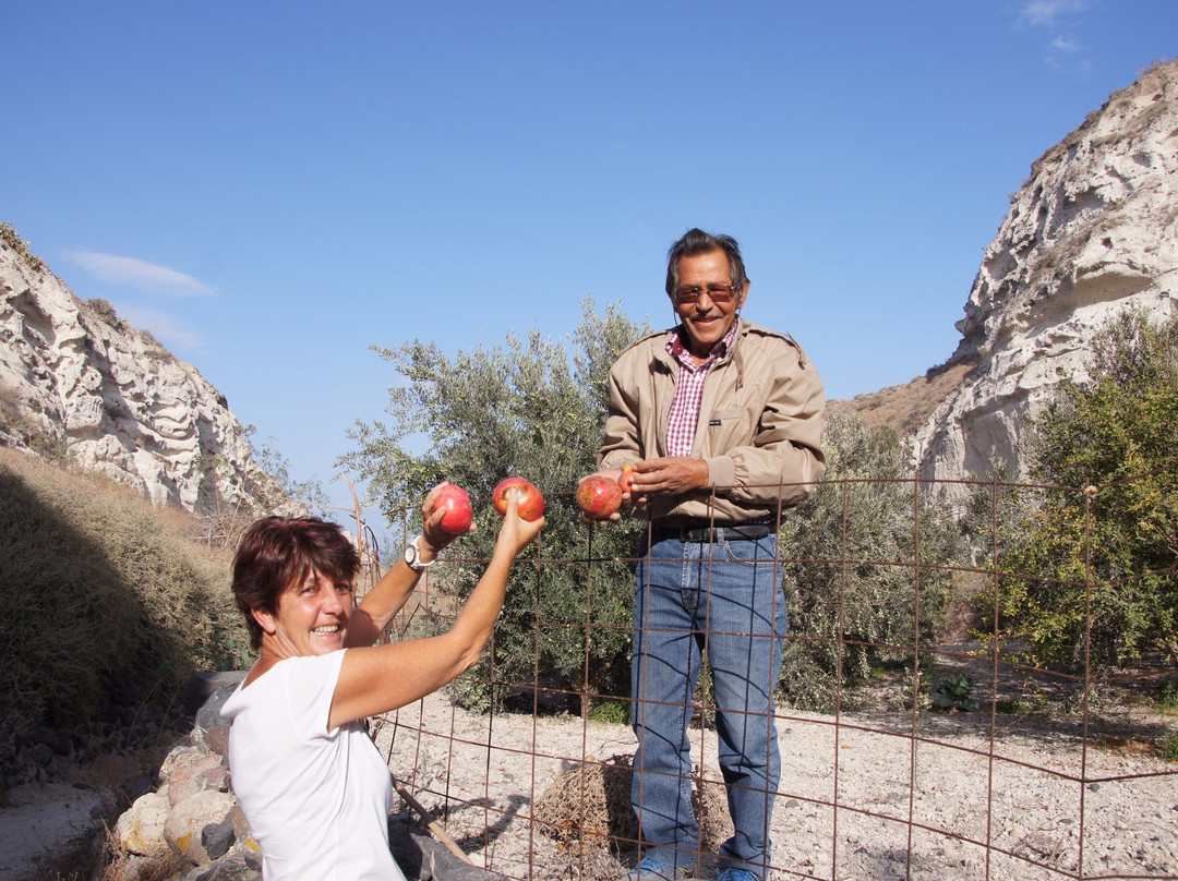 Santorini Mysteries