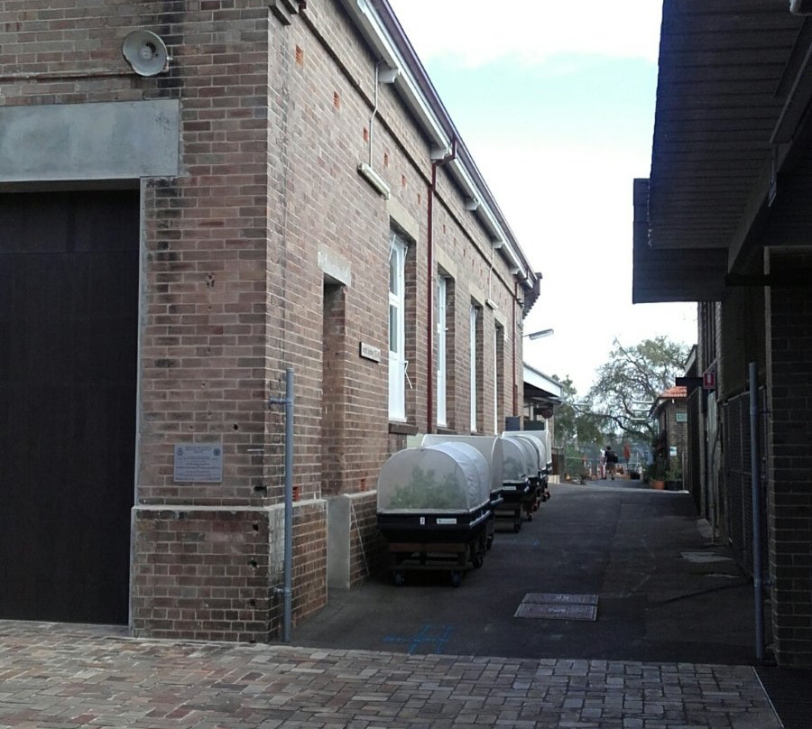 coal loader centre for sustainability景点图片