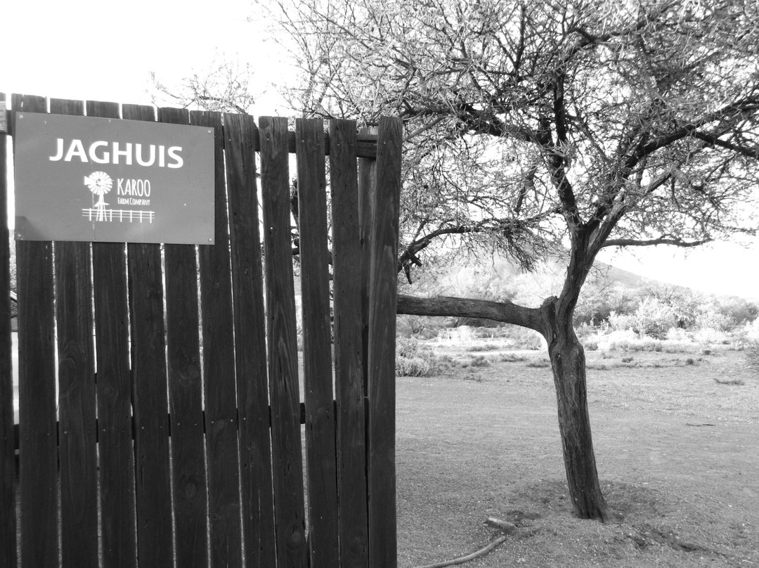 Taaiboschfontein主图