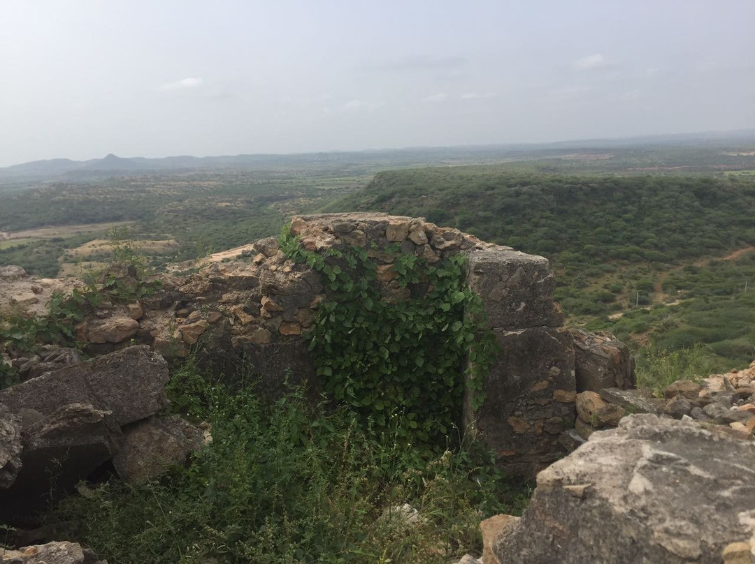 Roha Fort景点图片