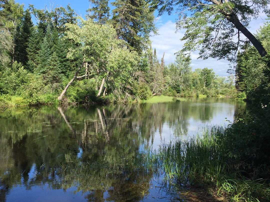 Bonnechere Provincial Park景点图片