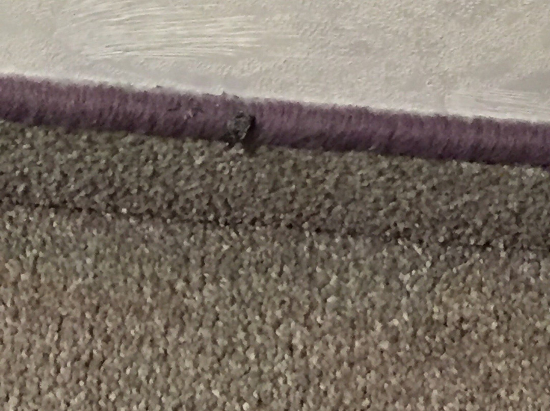 卡拉斯基酒店主图